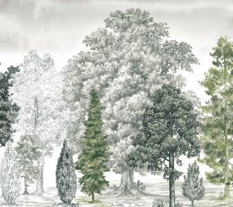 Loymina Пейзаж 2